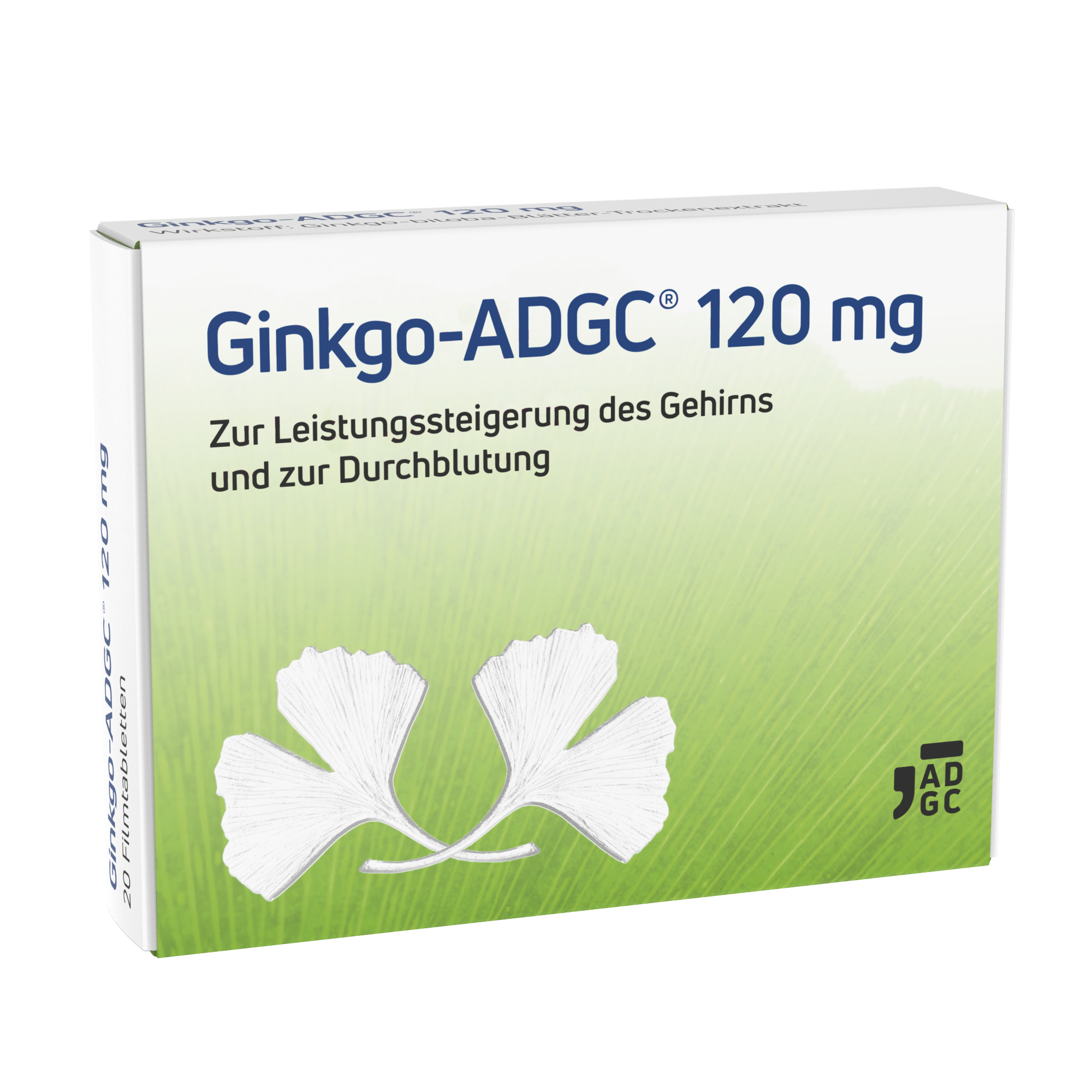 13820383_Ginkgo-ADGC 120mg 20st