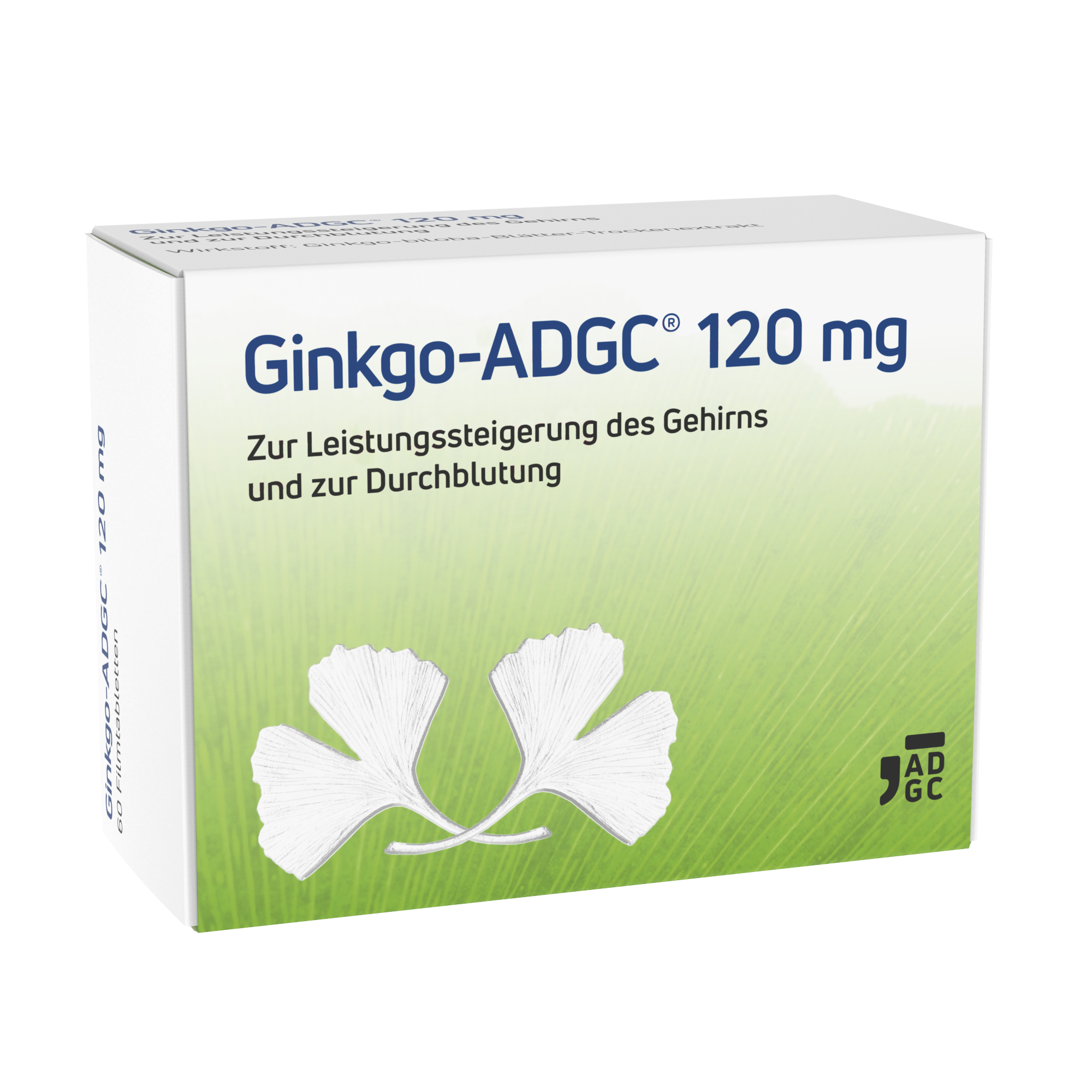 13820408_Ginkgo-ADGC 120mg 60st