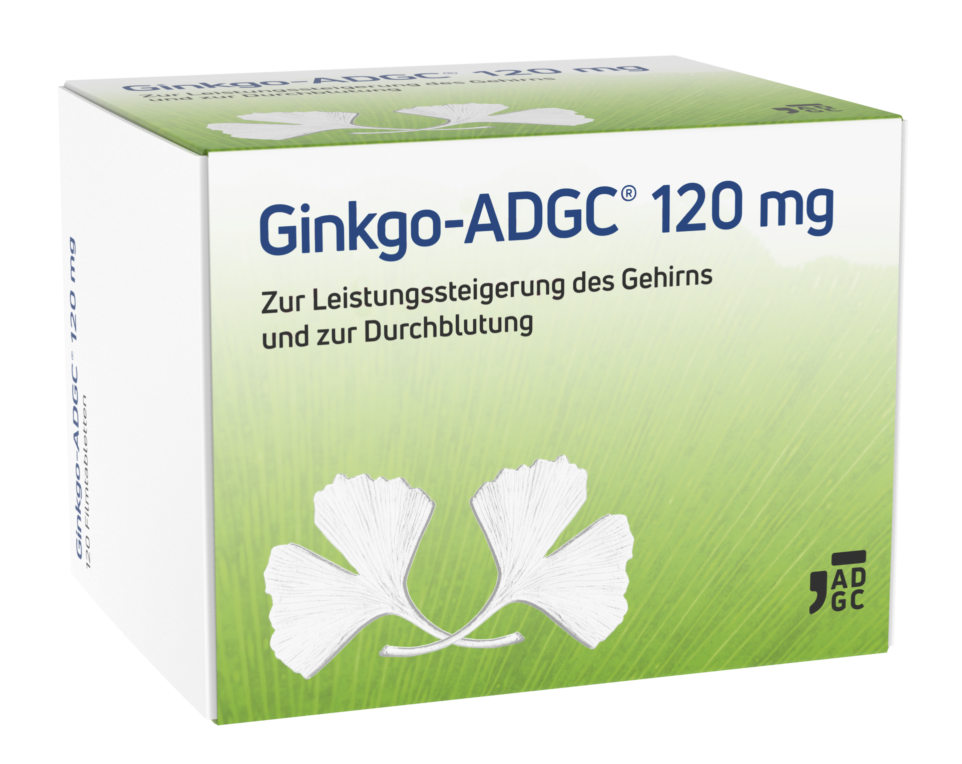 13820414_Ginkgo-ADGC 120mg 120st