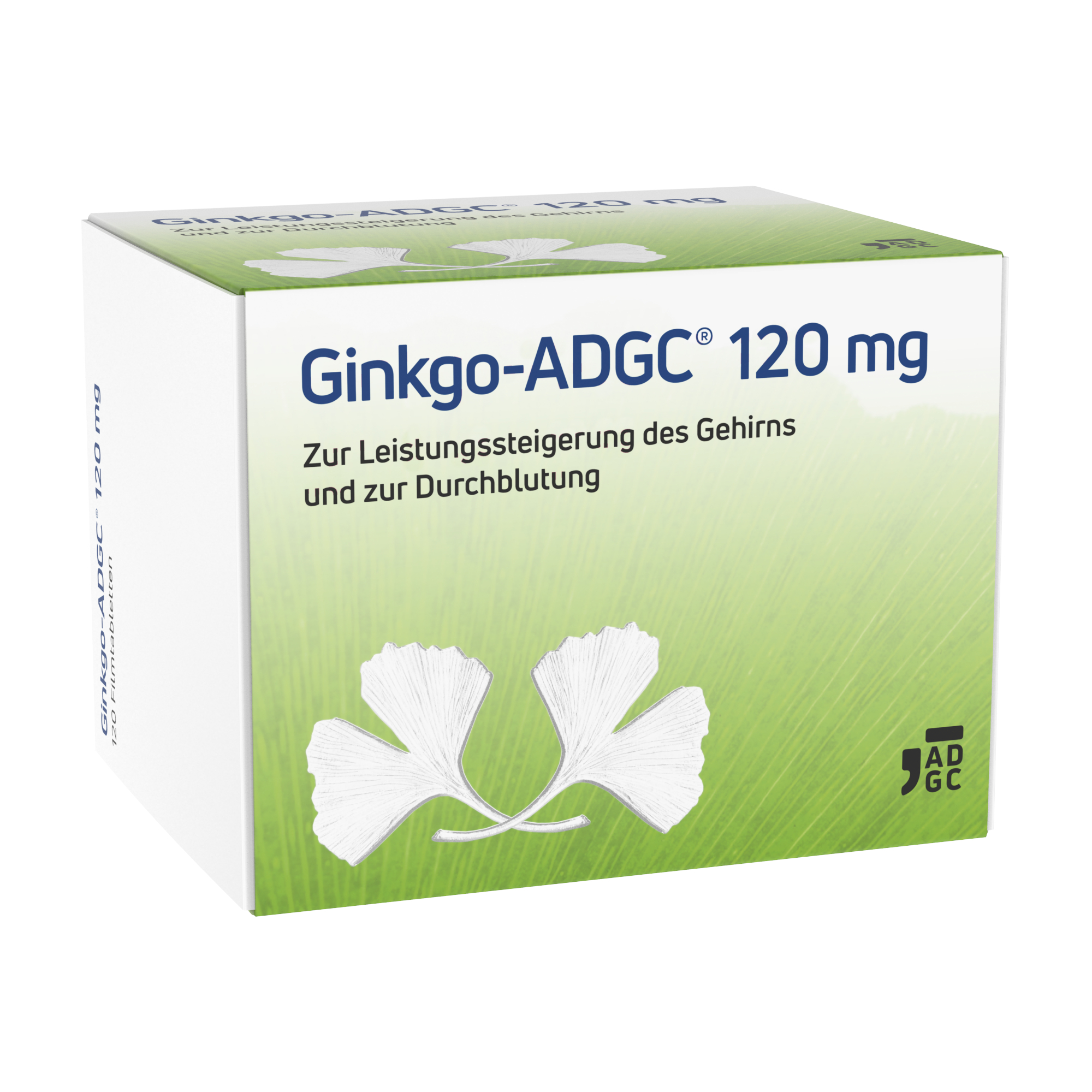 13820414_Ginkgo-ADGC 120mg 120st